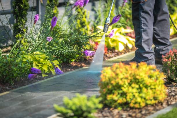  Bonita Springs, FL Pressure Washing Pros